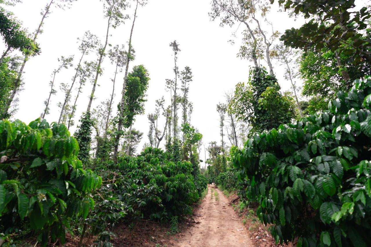Saffronstays Cafella- A 3-Bdr Elliptical-Roof Villa In Chikmagalur Mudigere Luaran gambar